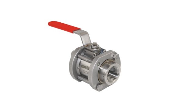 1989 valve