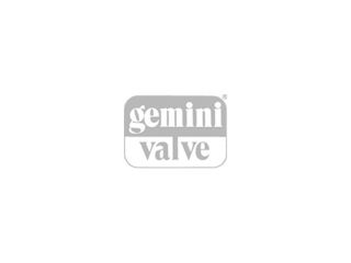 gemini valve placeholder logo